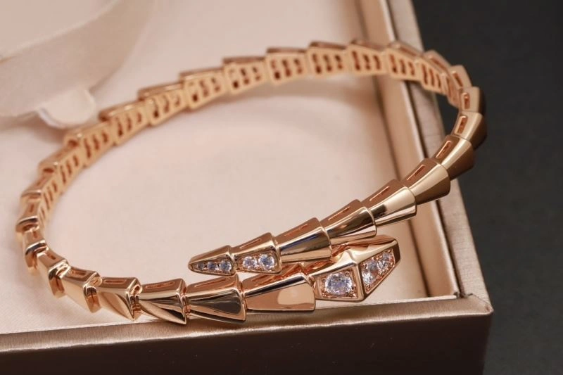 Bvlgari Bracelets Practical 216835