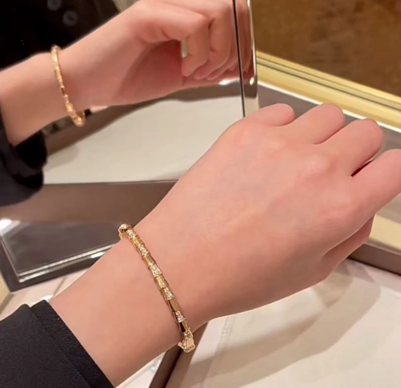 Bvlgari Bracelets Sleek 216832