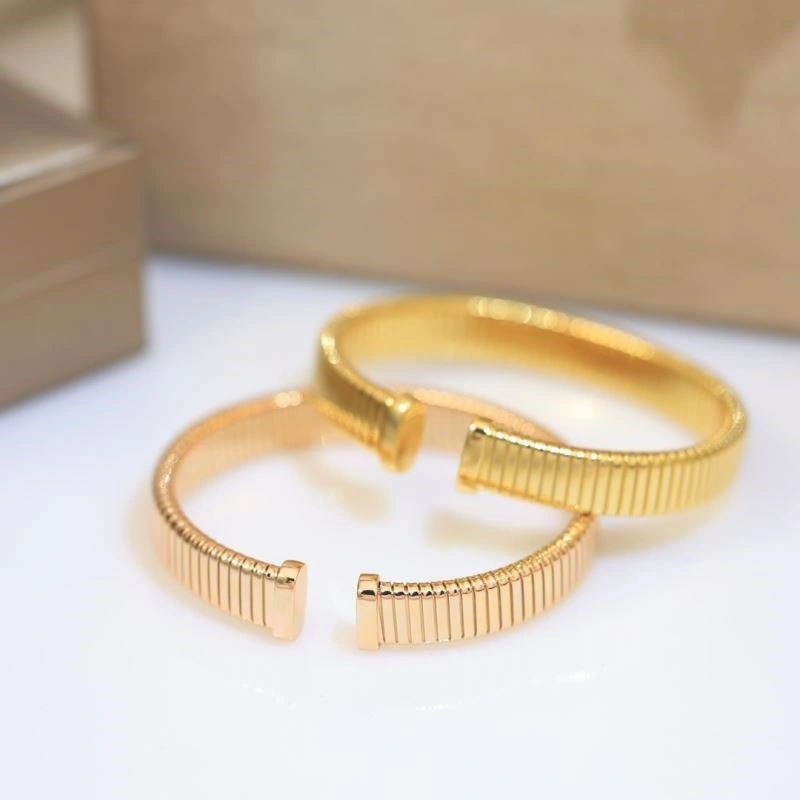 DailyWear Bvlgari Bracelets 216473