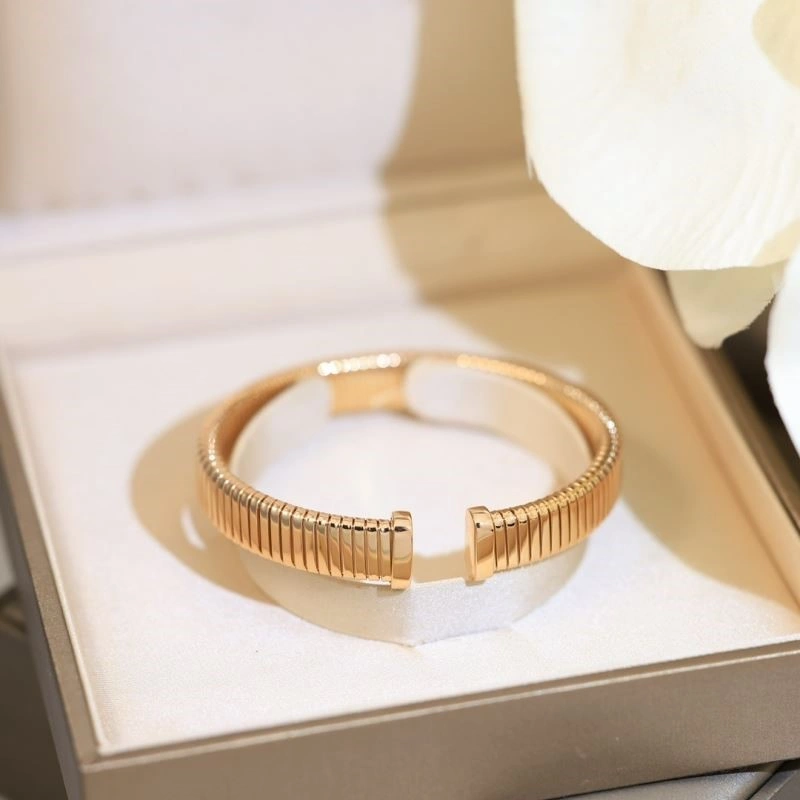 DailyWear Bvlgari Bracelets 216473