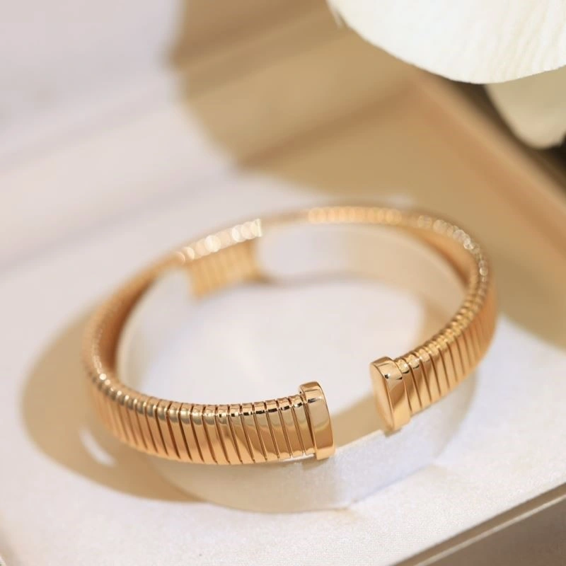 DailyWear Bvlgari Bracelets 216473