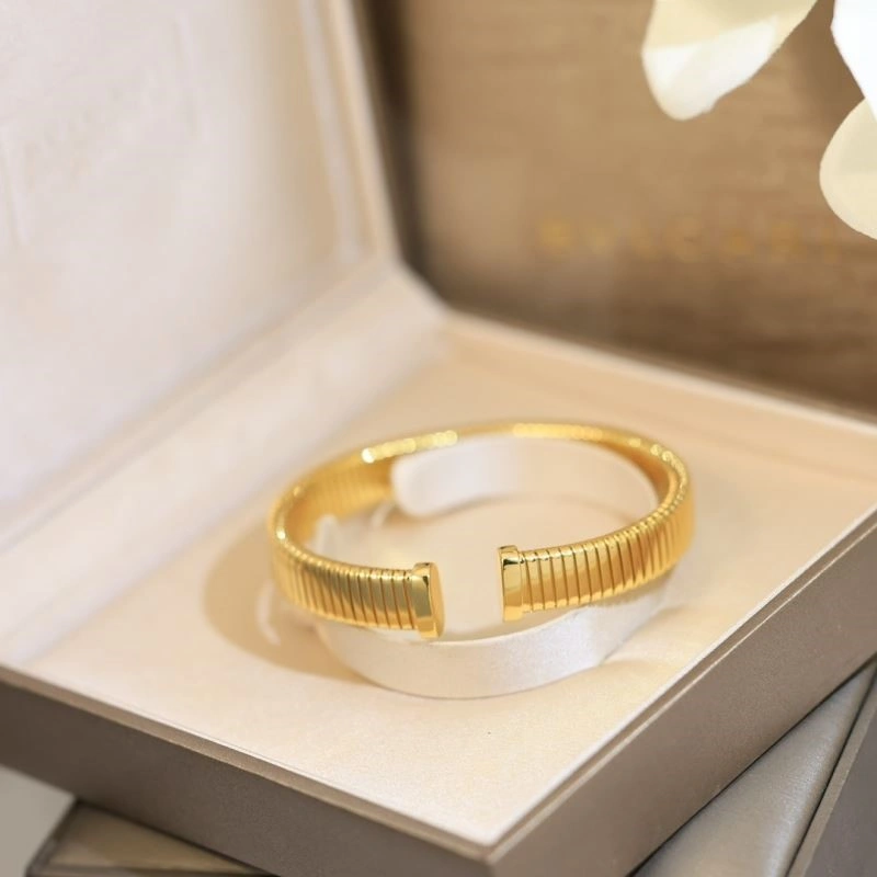 DailyWear Bvlgari Bracelets 216473