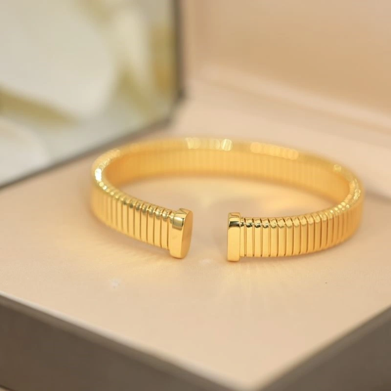 DailyWear Bvlgari Bracelets 216473