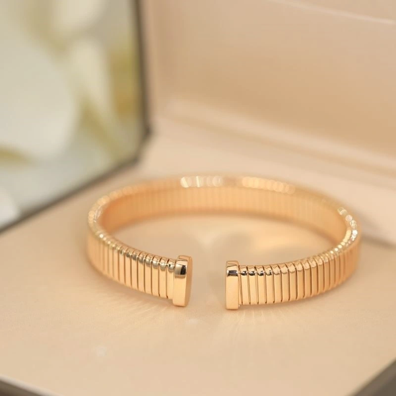 DailyWear Bvlgari Bracelets 216473