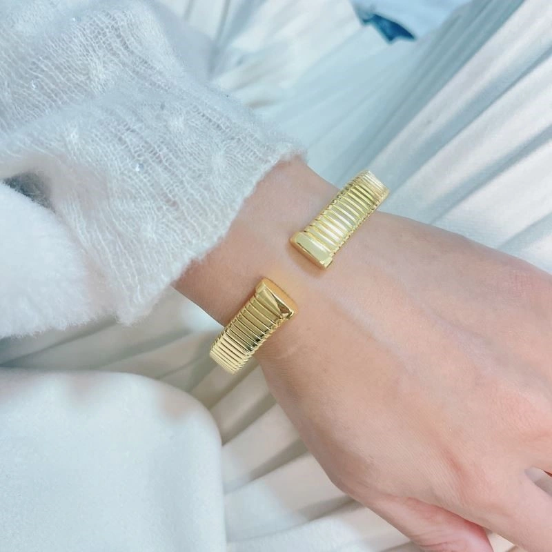DailyWear Bvlgari Bracelets 216473