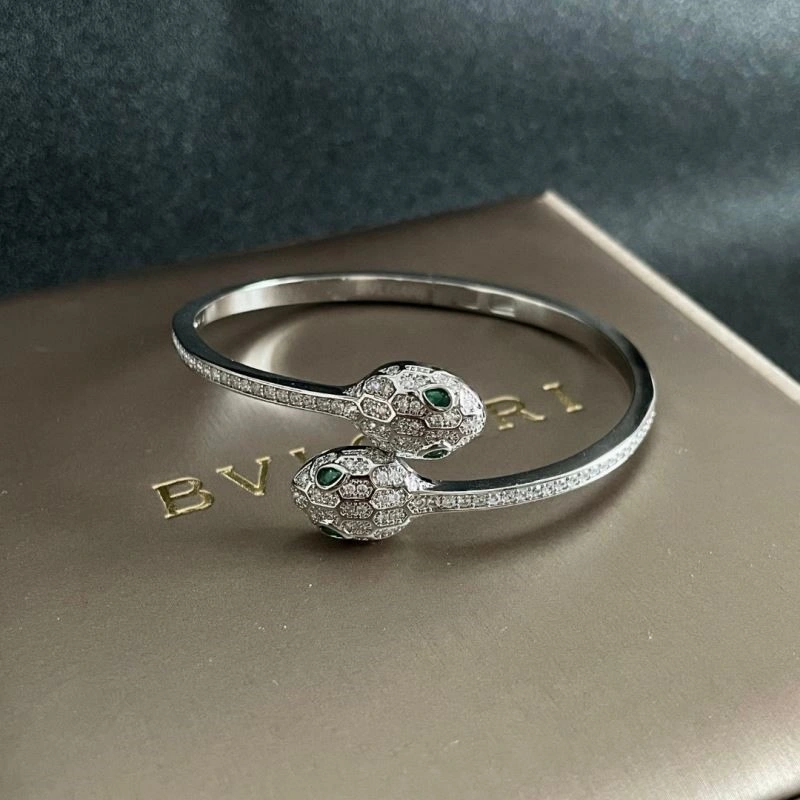 Bvlgari Bracelets Practical 216439