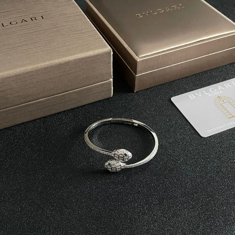 Bvlgari Bracelets Practical 216439