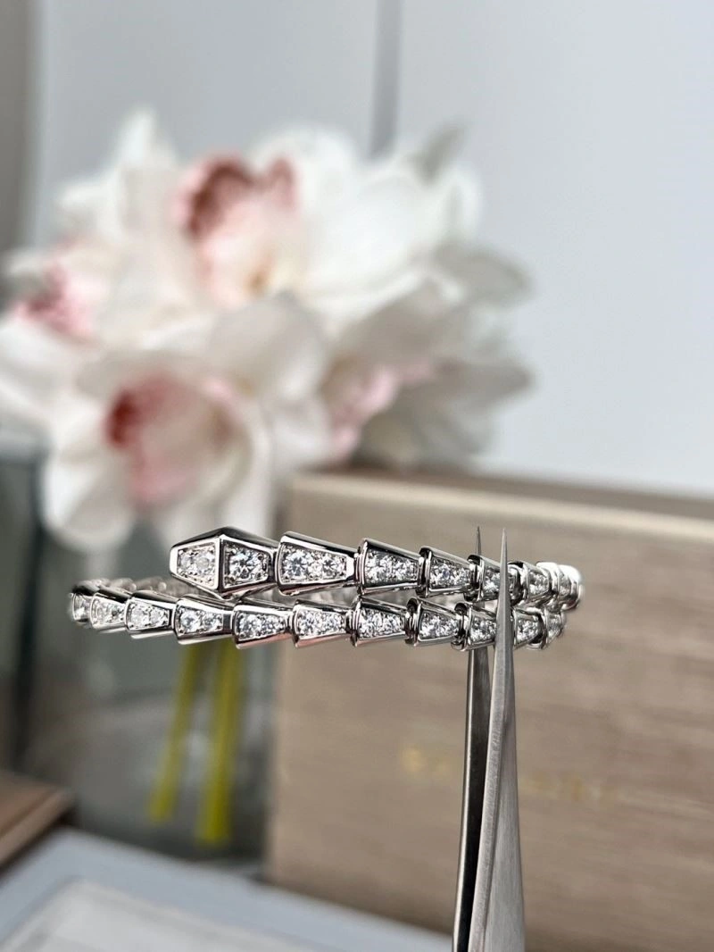 Bvlgari Bracelets EyeCatching 216432