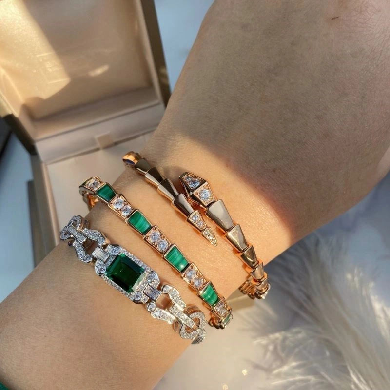 Bvlgari Bracelets GoAnywhere 216262