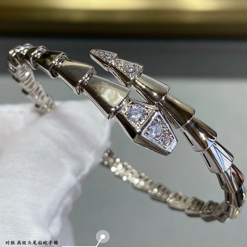Bvlgari Bracelets GoAnywhere 216262