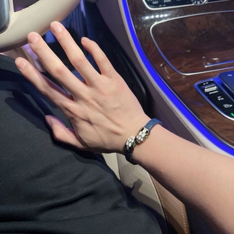 Bvlgari Bracelets WeatherProof 216097