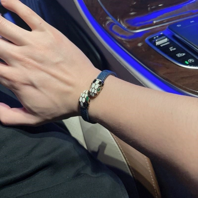 Bvlgari Bracelets WeatherProof 216097