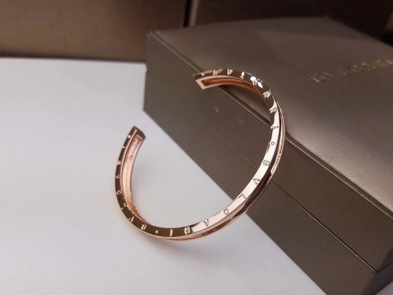 Bvlgari Bracelets Vibrant 216059