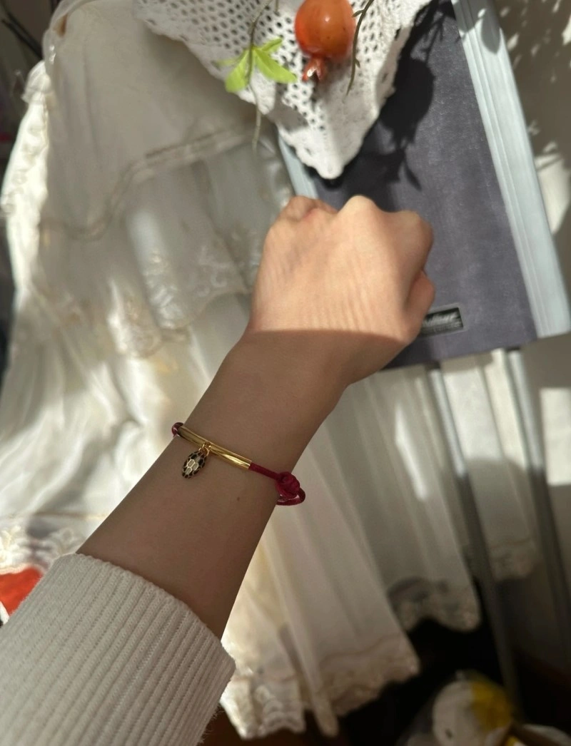 Bvlgari Bracelets Modern 215963