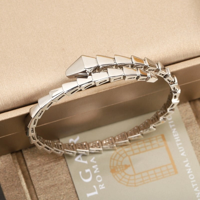 Bvlgari Bracelets Supportive 215941
