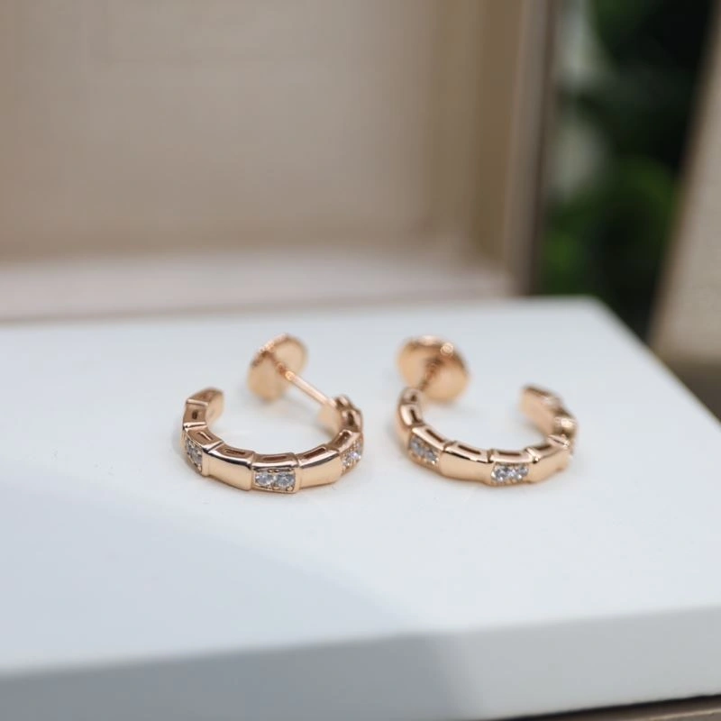 Bvlgari Earrings Fashionable 216829