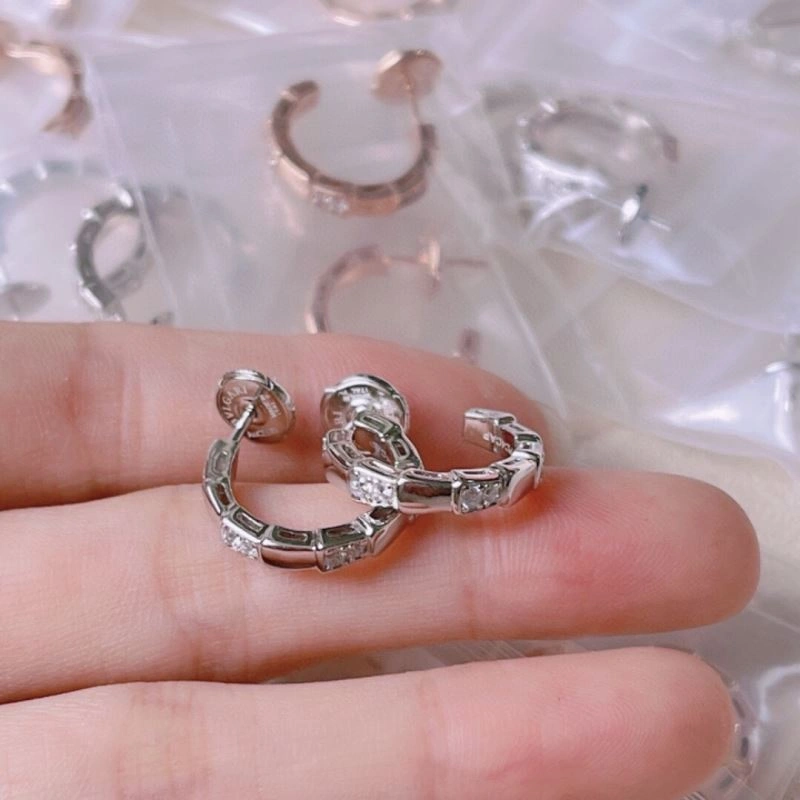 Bvlgari Earrings Fashionable 216829