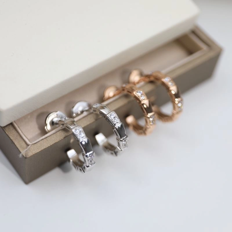 Bvlgari Earrings Fashionable 216829
