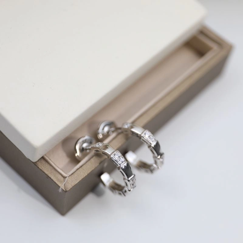 Bvlgari Earrings Fashionable 216829