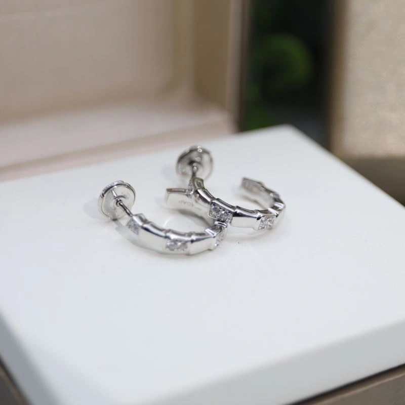 Bvlgari Earrings Fashionable 216829