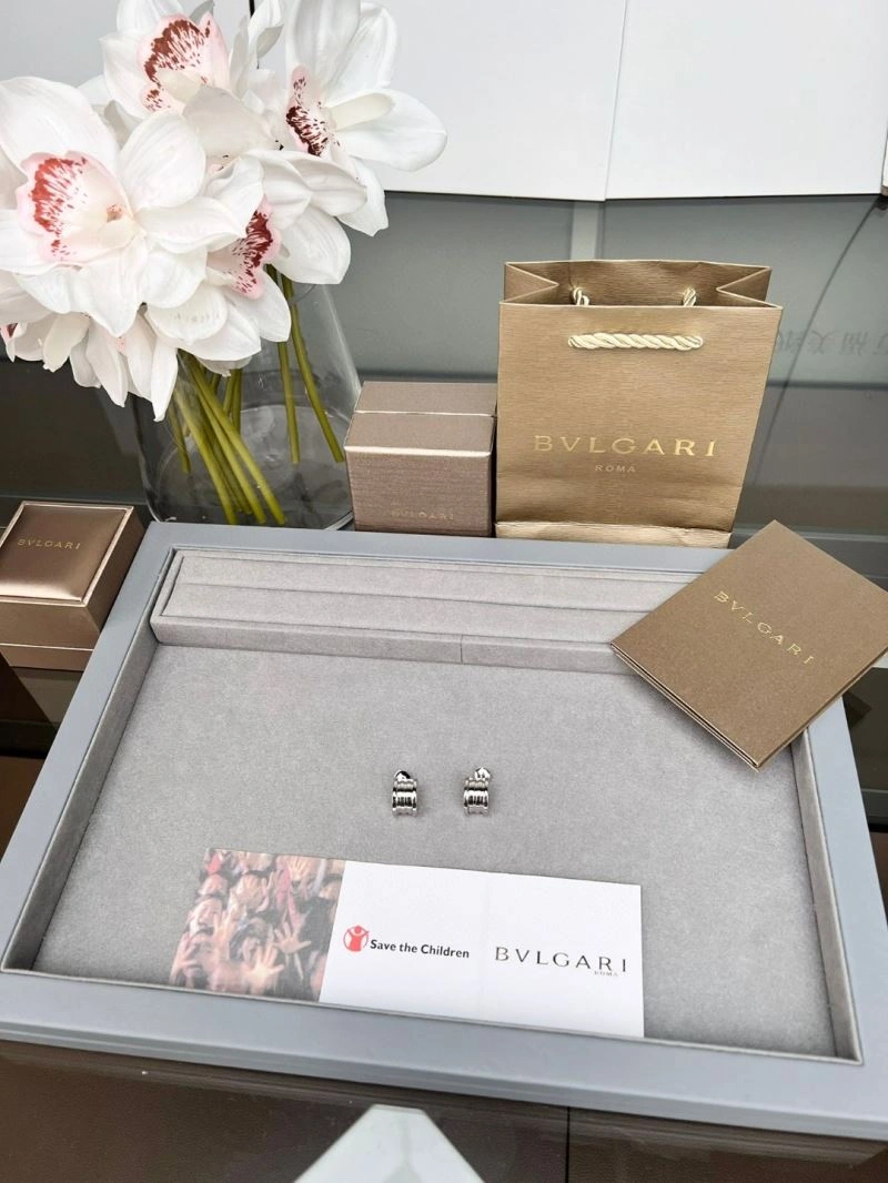 Bvlgari Earrings Affordable 216582