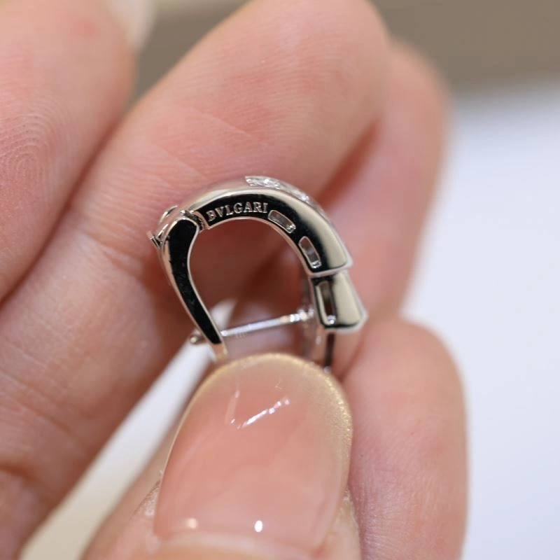 QuickDry Bvlgari Earrings 216497