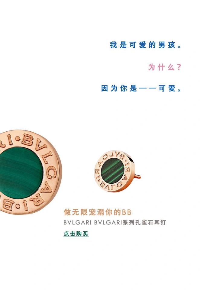 Bvlgari Earrings Flexible 216492