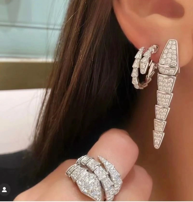 Breathable Bvlgari Earrings 216255