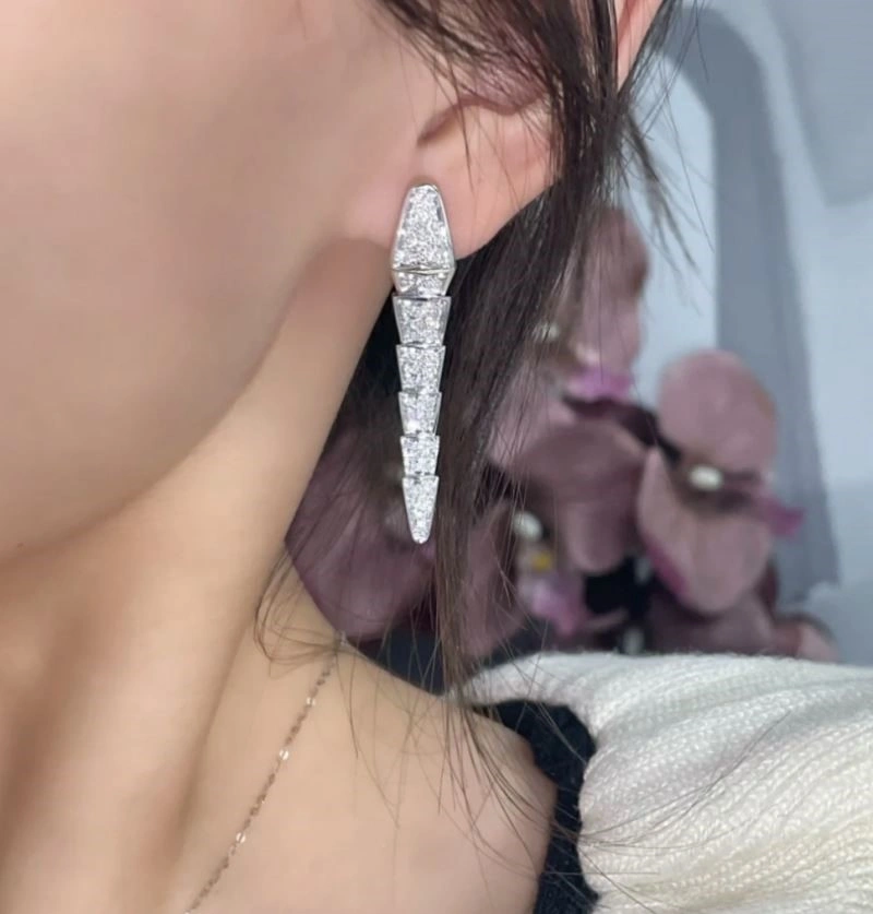 Breathable Bvlgari Earrings 216255