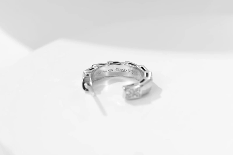 FlexibleFit Bvlgari Earrings 215905