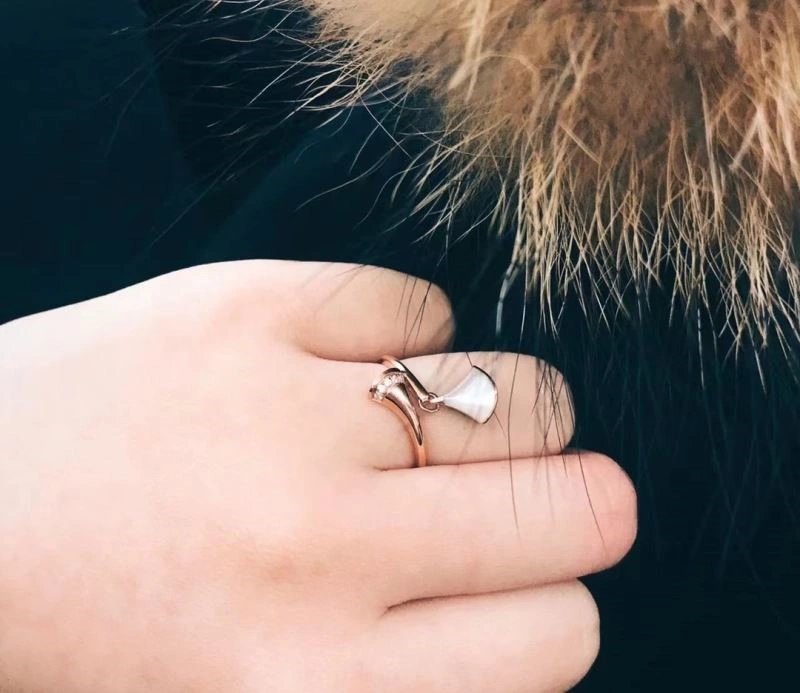 Bvlgari Rings MultiPurpose 216088