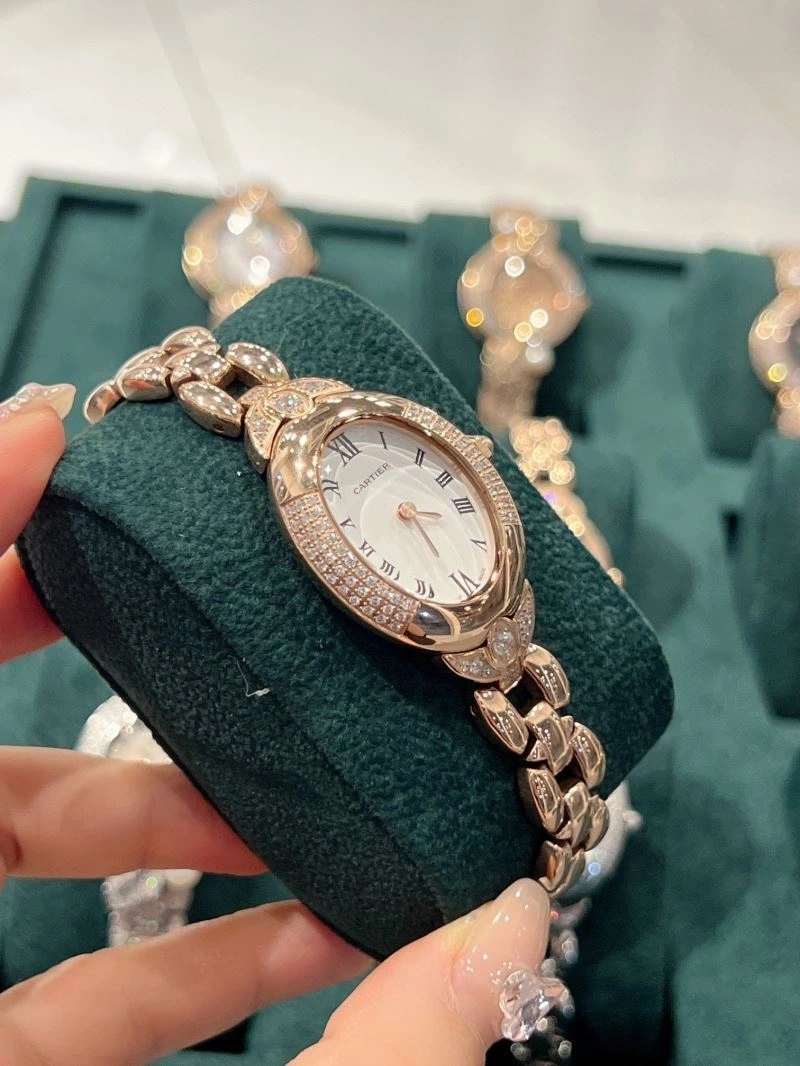 CARTIER Watches WeatherProof 181053
