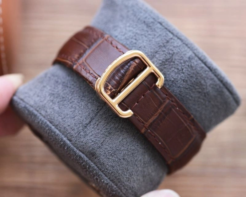 SunProtective CARTIER Watches 180978