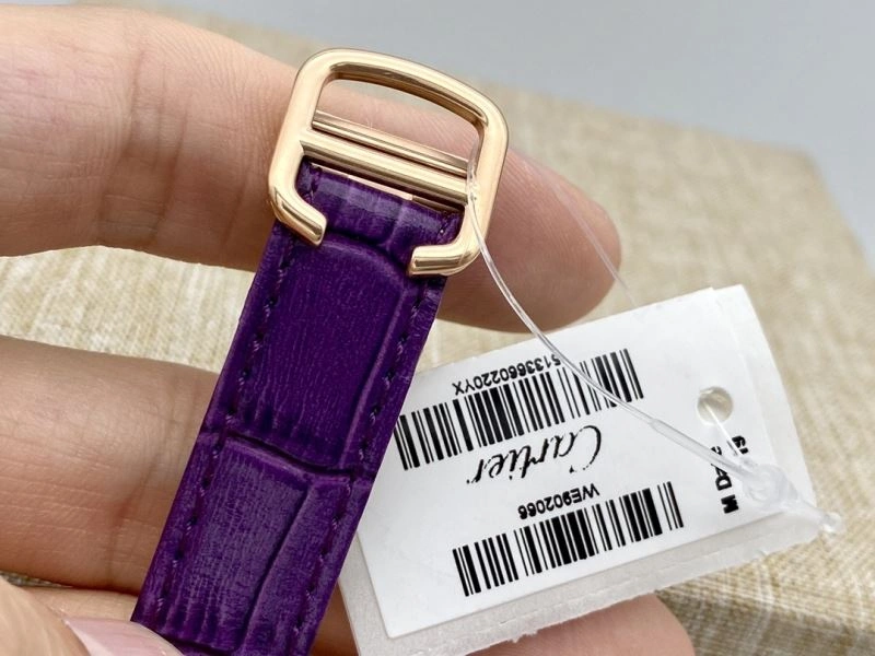 CARTIER Watches GoAnywhere 180503