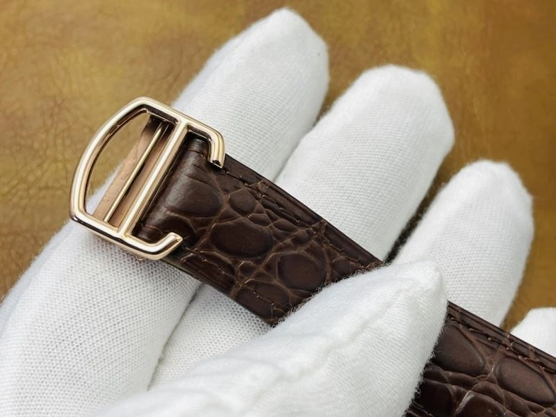 Stylish CARTIER Watches 180331