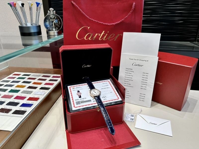 Sophisticated CARTIER Watches 180214