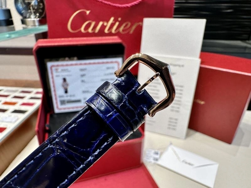 Sophisticated CARTIER Watches 180214