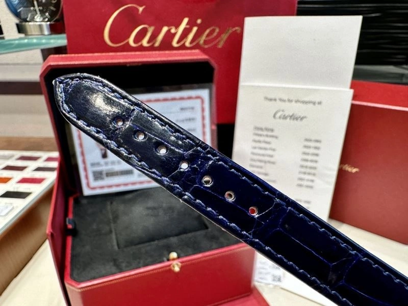 Sophisticated CARTIER Watches 180214