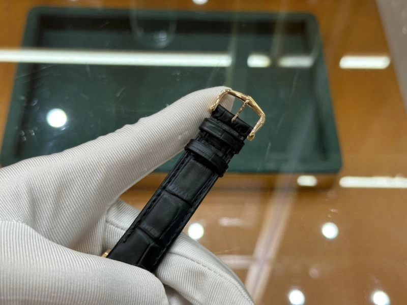 FlexibleFit CARTIER Watches 180208