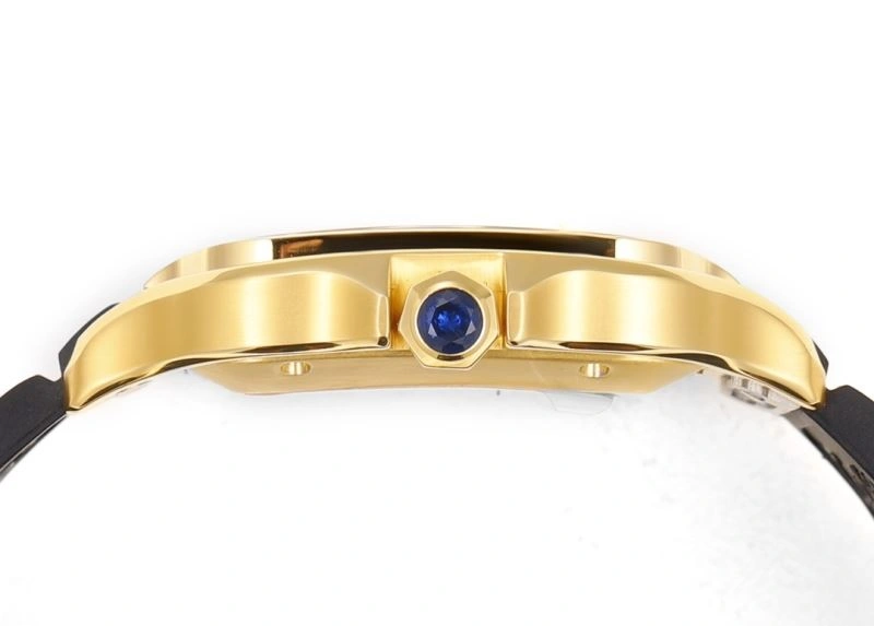 CARTIER Watches Upgraded 180209