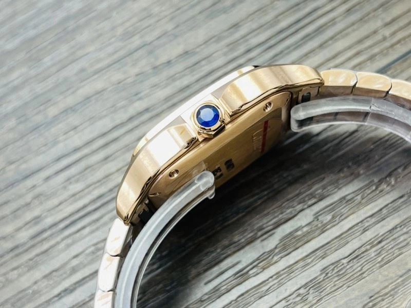 SmoothTexture CARTIER Watches 180193