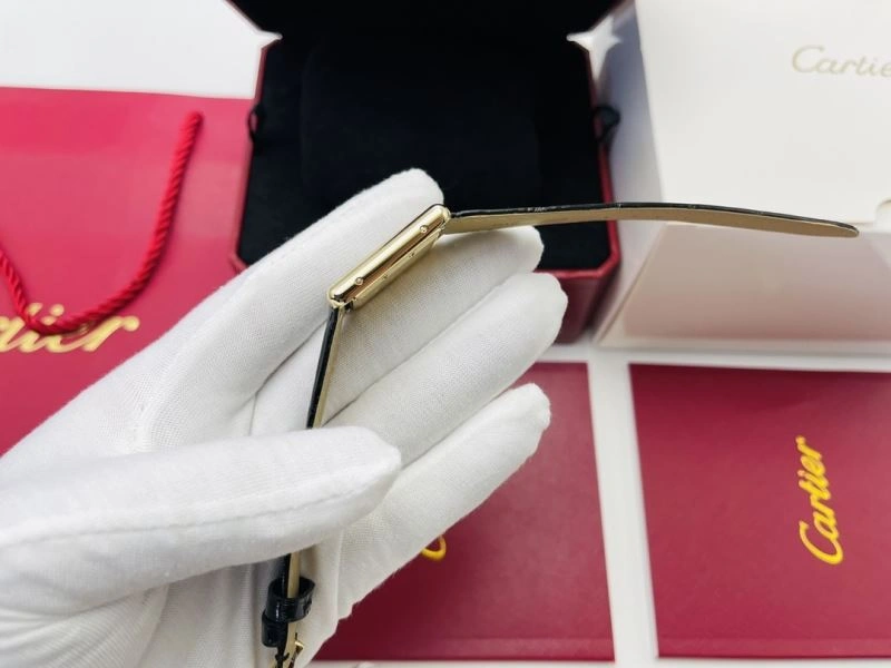 GoAnywhere CARTIER Watches 180192