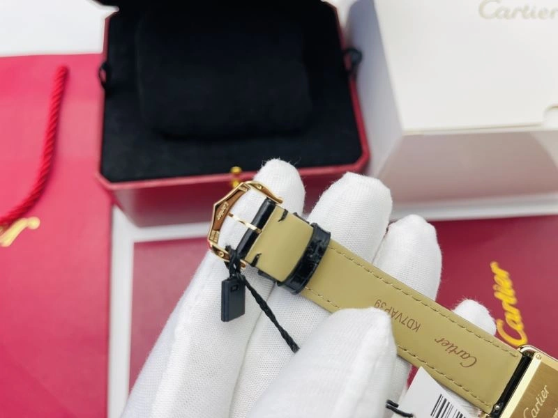 GoAnywhere CARTIER Watches 180192