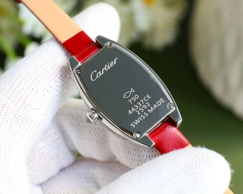 Colorful CARTIER Watches 179872