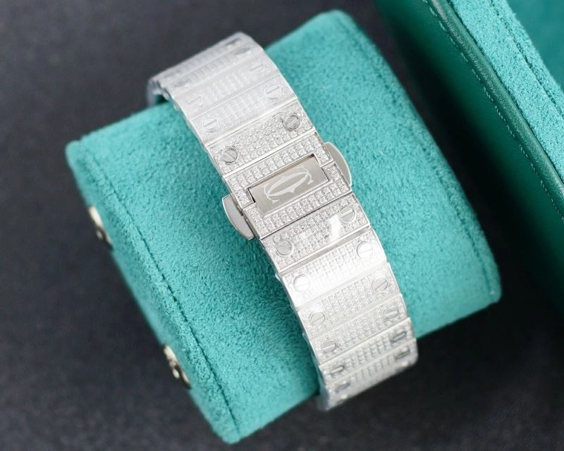 CARTIER Watches FlexibleFit 179852