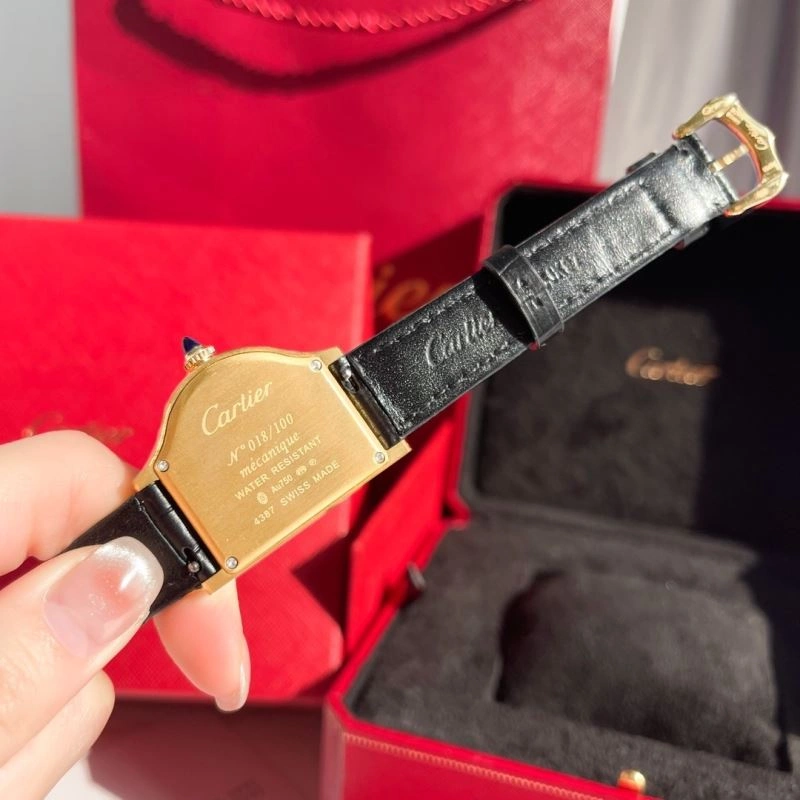 FlexibleFit CARTIER Watches 179850