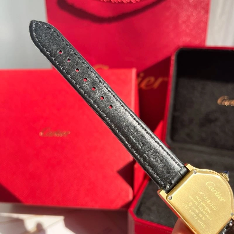 FlexibleFit CARTIER Watches 179850