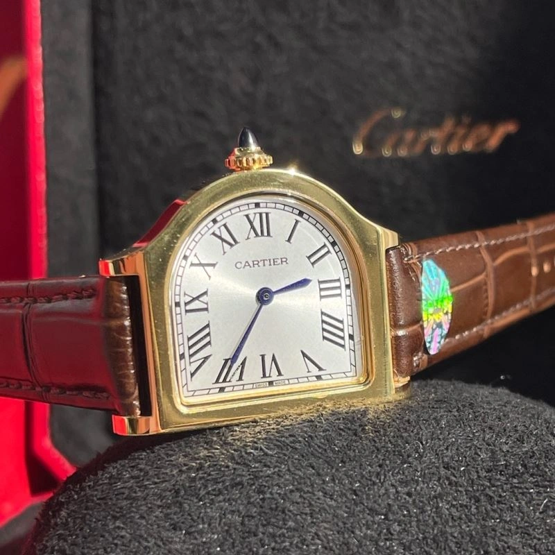 FlexibleFit CARTIER Watches 179850
