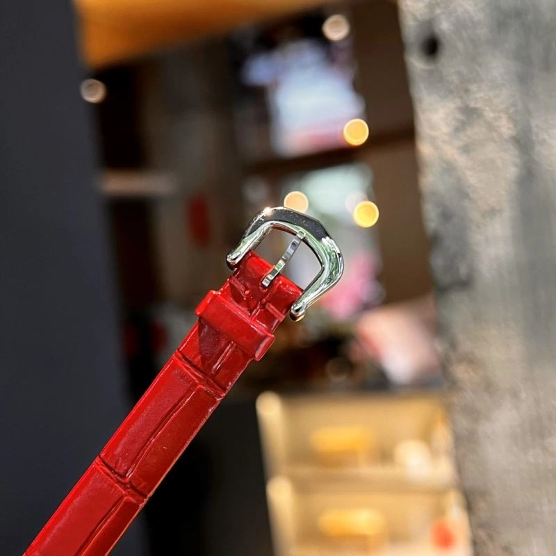 CARTIER Watches QuickDry 179816