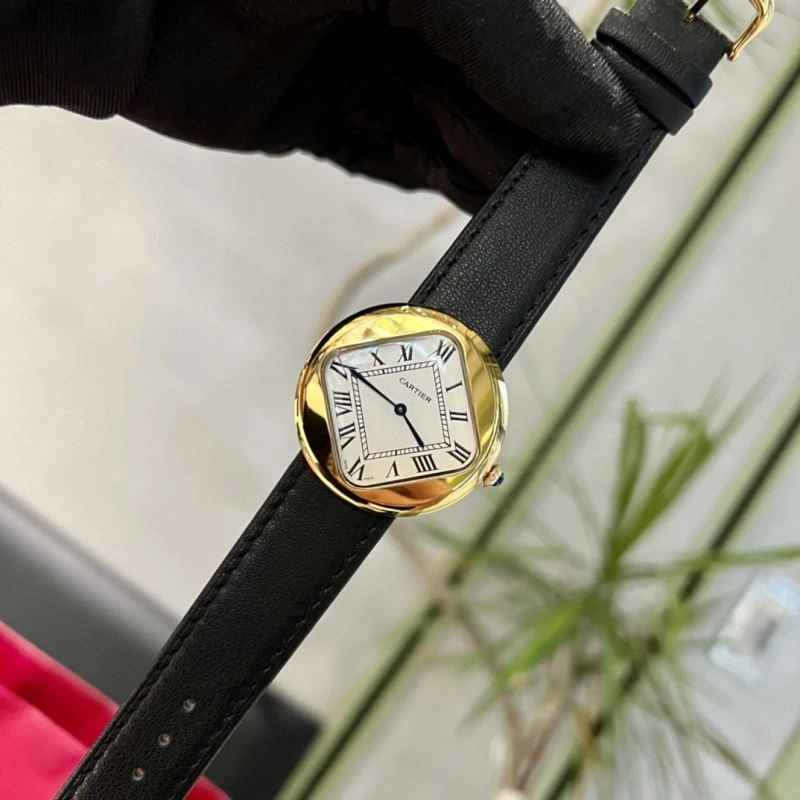 WellDesigned CARTIER Watches 179789